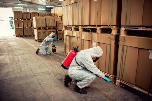 Best Best Pest Control Companies  in Ridgefield, WA