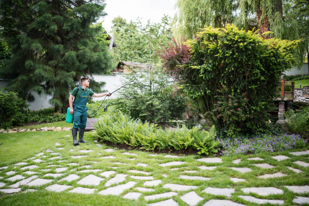Best Emergency Pest Control  in Ridgefield, WA
