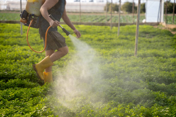 Best Pest Inspection Near Me  in Ridgefield, WA