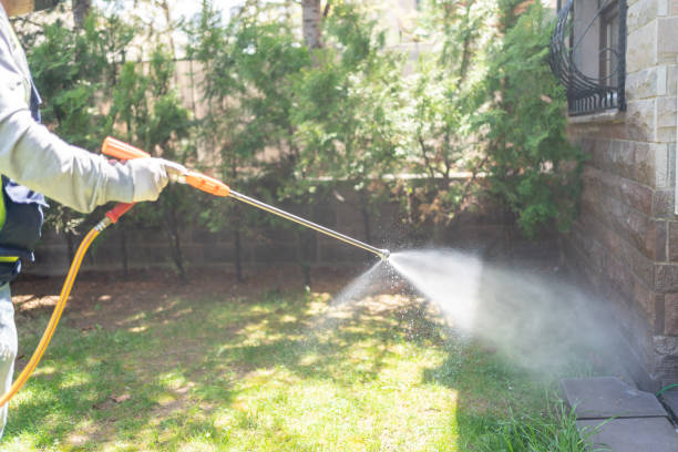 Flea Control Services in Ridgefield, WA