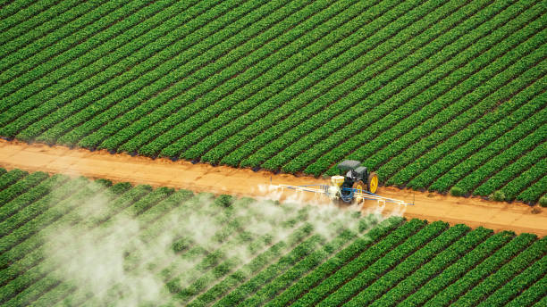 Best Mosquito Control Services  in Ridgefield, WA
