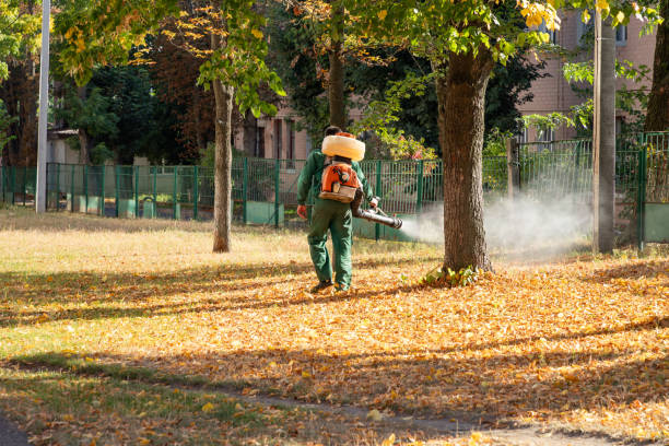 Best Pest Prevention Services  in Ridgefield, WA