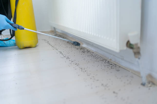 Best Commercial Pest Control Services  in Ridgefield, WA