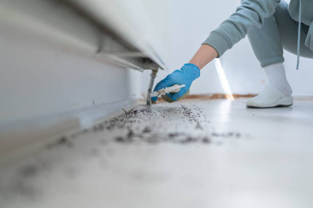 Best Affordable Pest Control Services  in Ridgefield, WA
