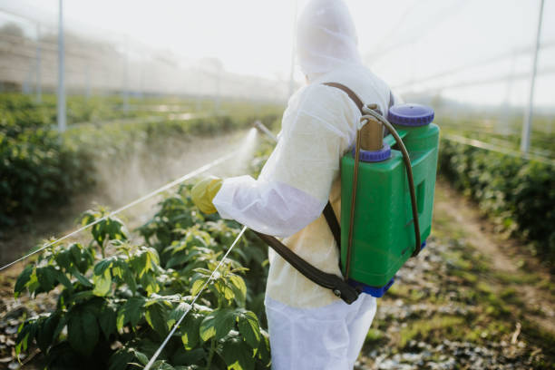 Best Bed Bug Extermination  in Ridgefield, WA